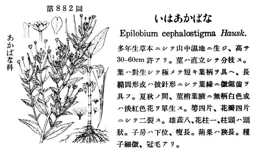植物図鑑