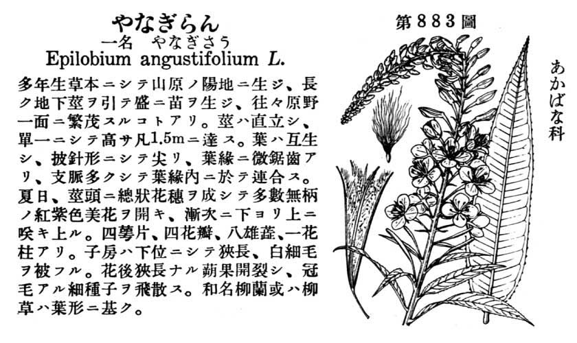植物図鑑