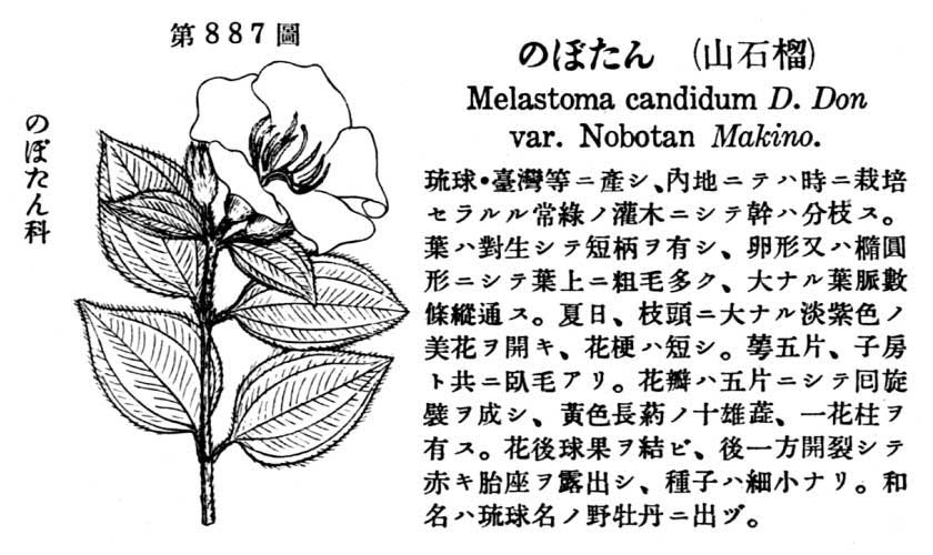 植物図鑑
