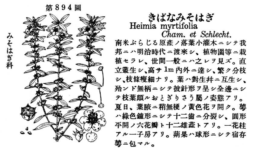 植物図鑑