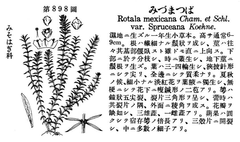 植物図鑑