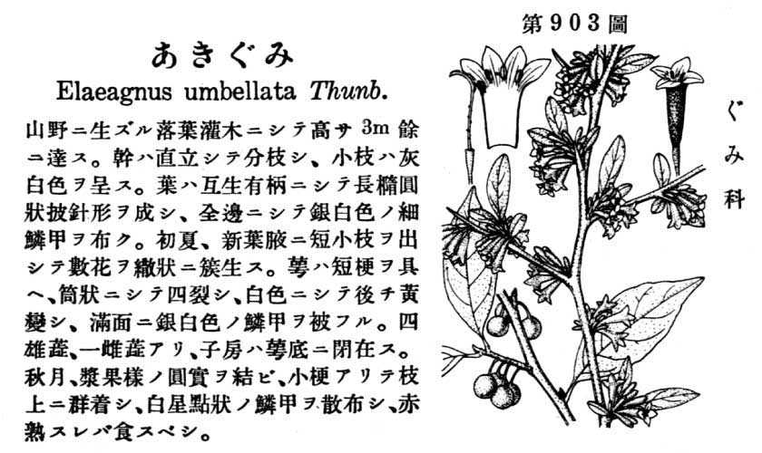 植物図鑑