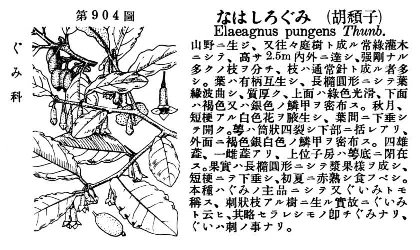 植物図鑑