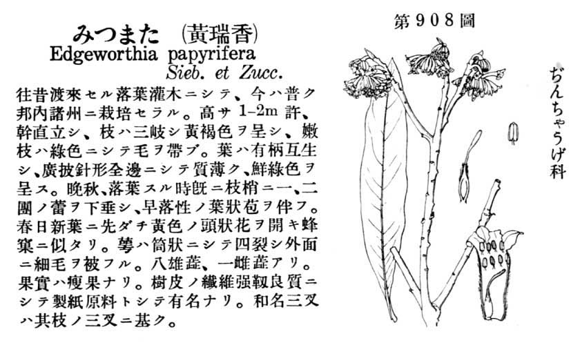植物図鑑