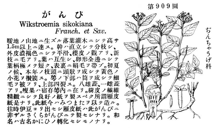 植物図鑑