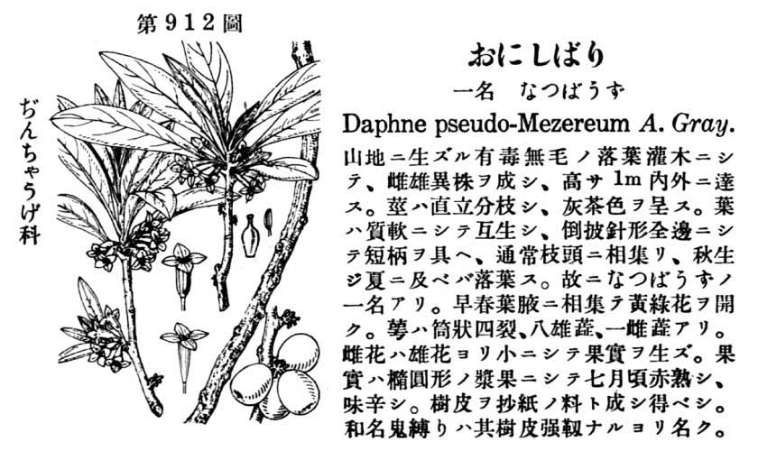 植物図鑑