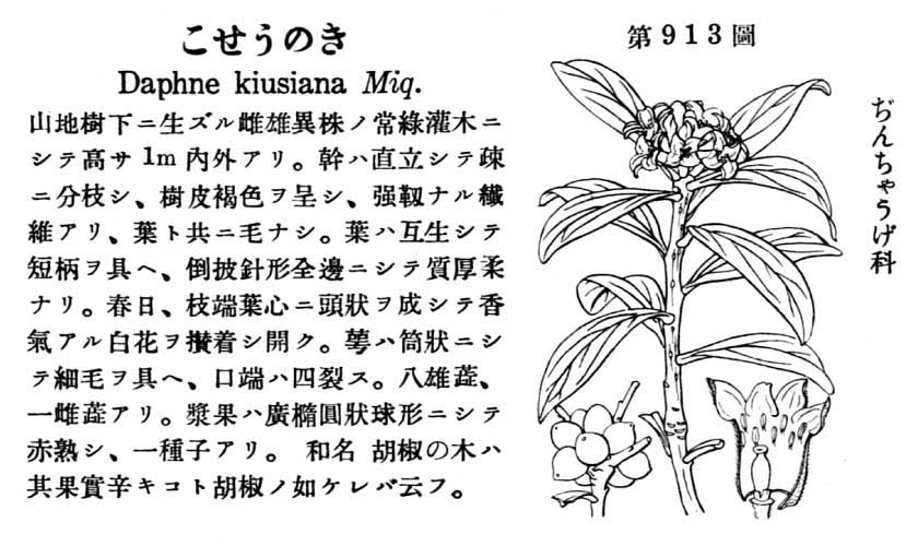 植物図鑑