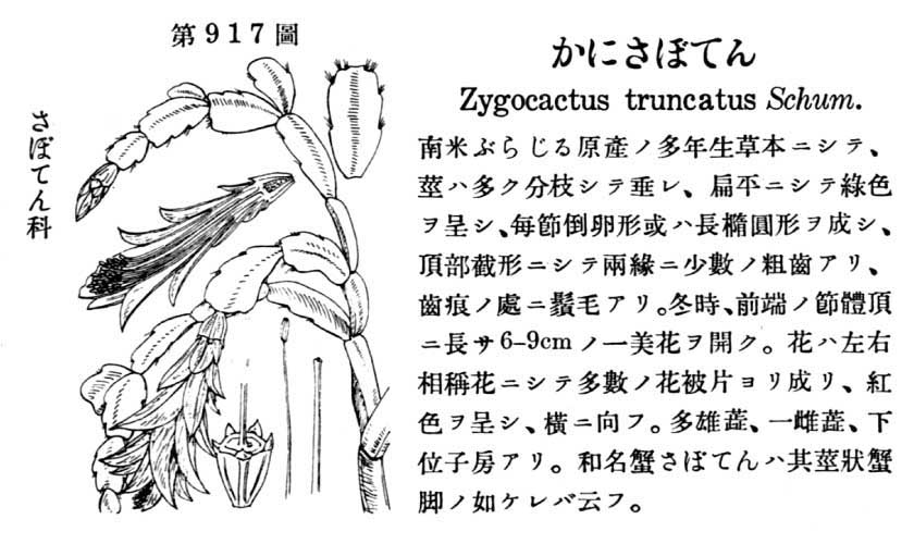 植物図鑑