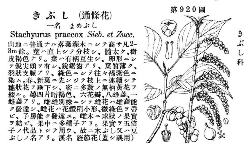 植物図鑑