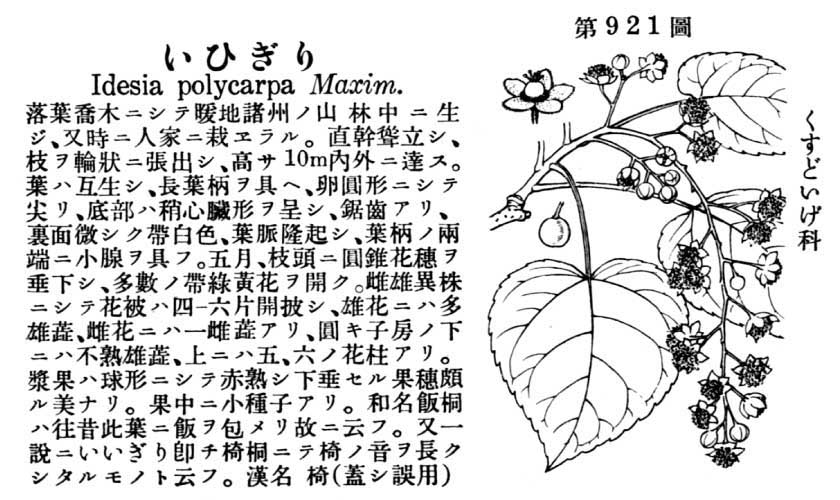 植物図鑑