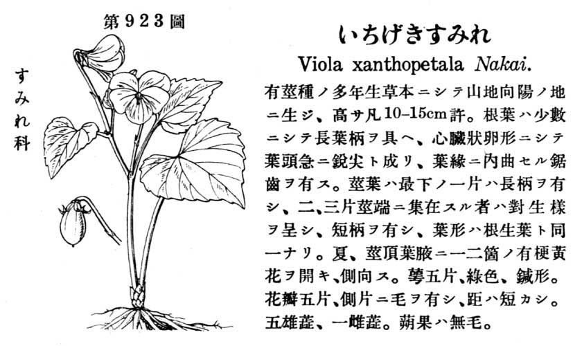 植物図鑑