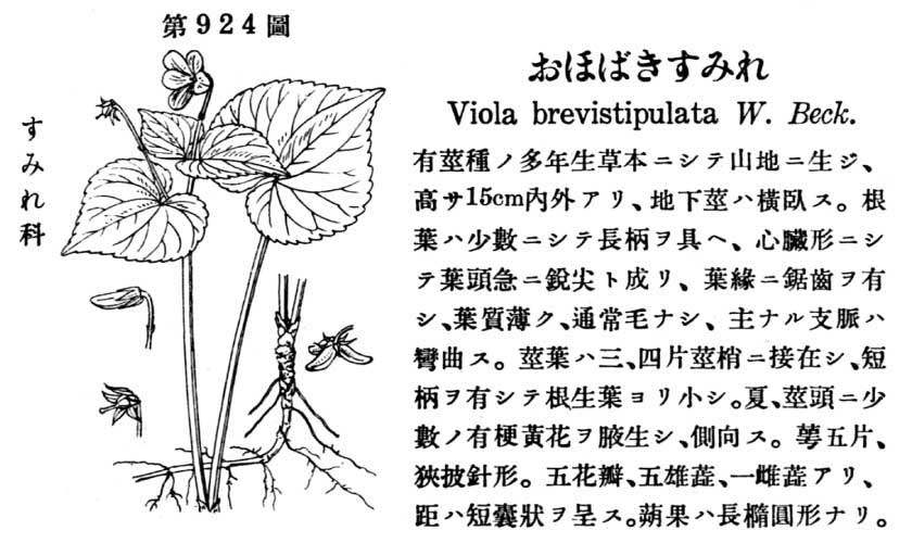 植物図鑑