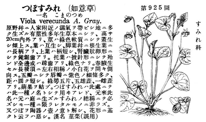 植物図鑑