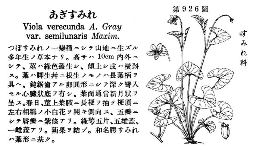 植物図鑑