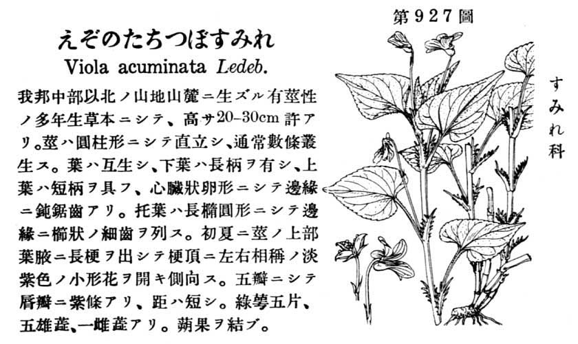 植物図鑑