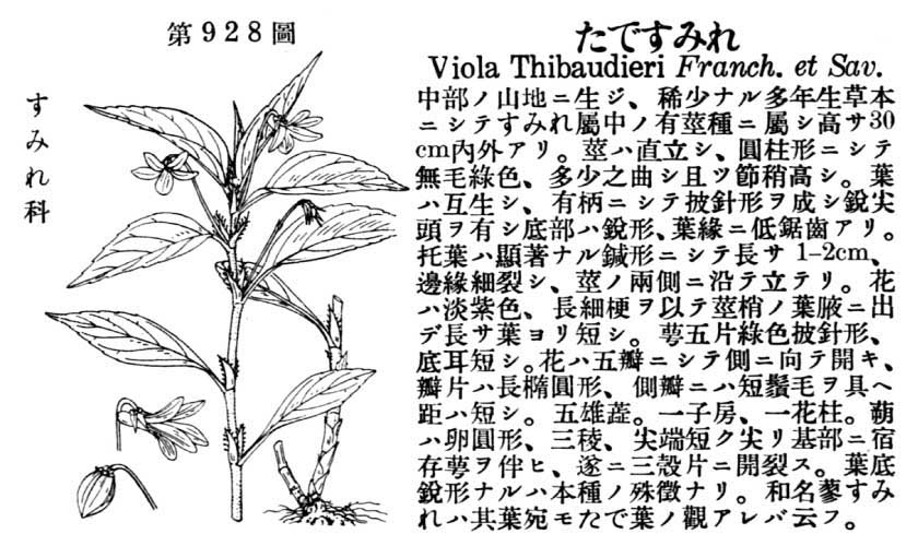 植物図鑑