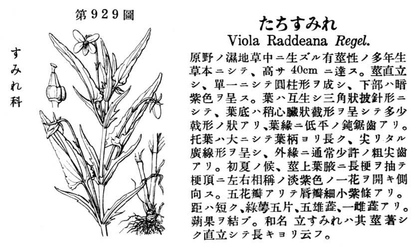植物図鑑