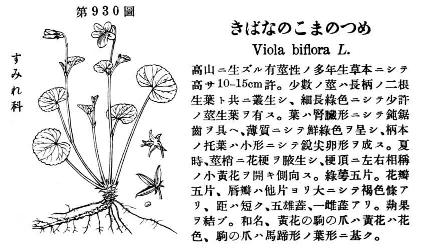 植物図鑑
