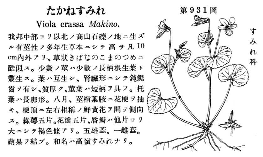 植物図鑑