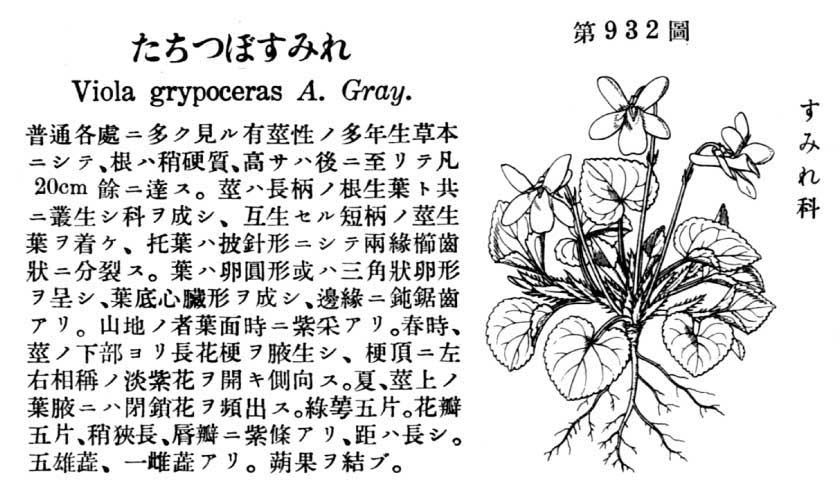 植物図鑑