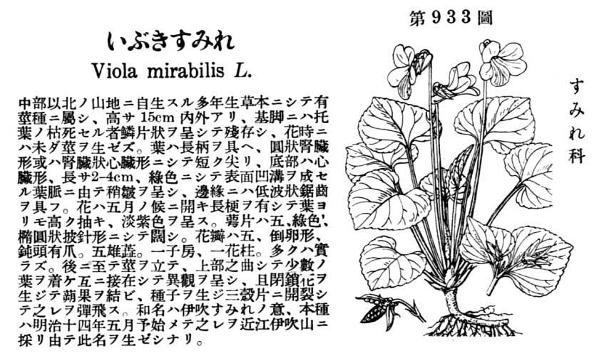 植物図鑑