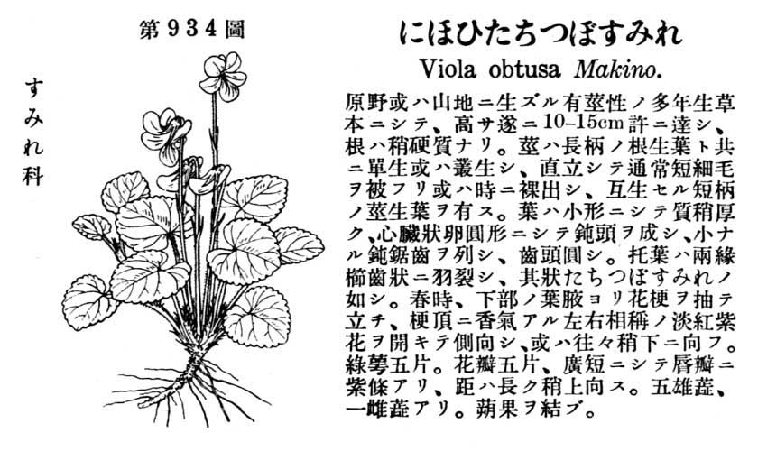 植物図鑑