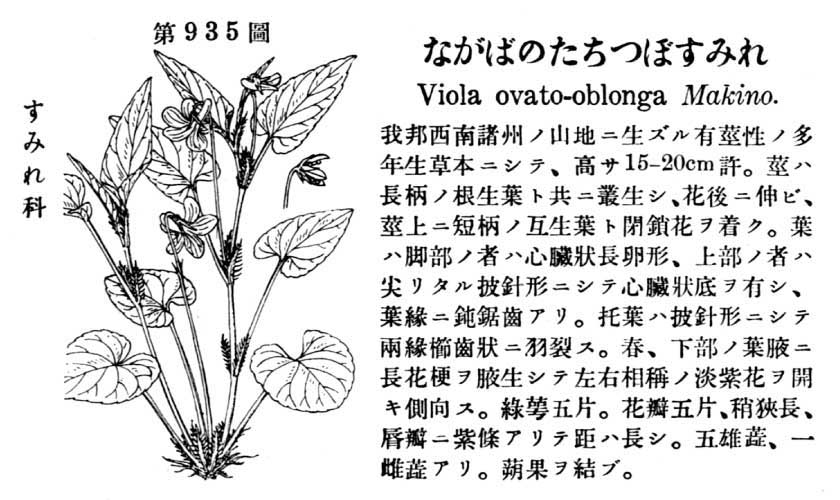 植物図鑑