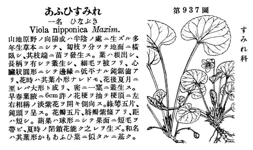 植物図鑑