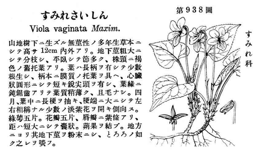 植物図鑑