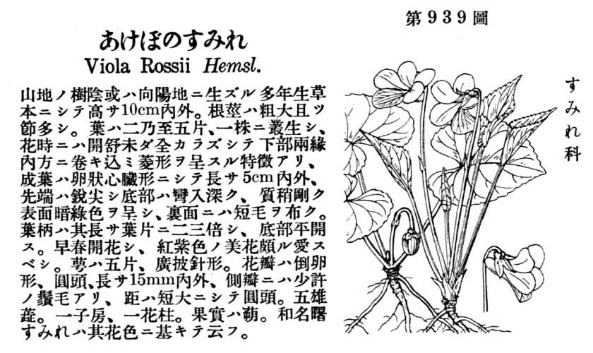 植物図鑑
