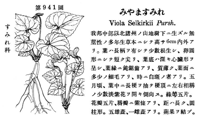 植物図鑑