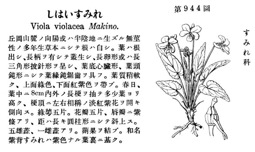 植物図鑑