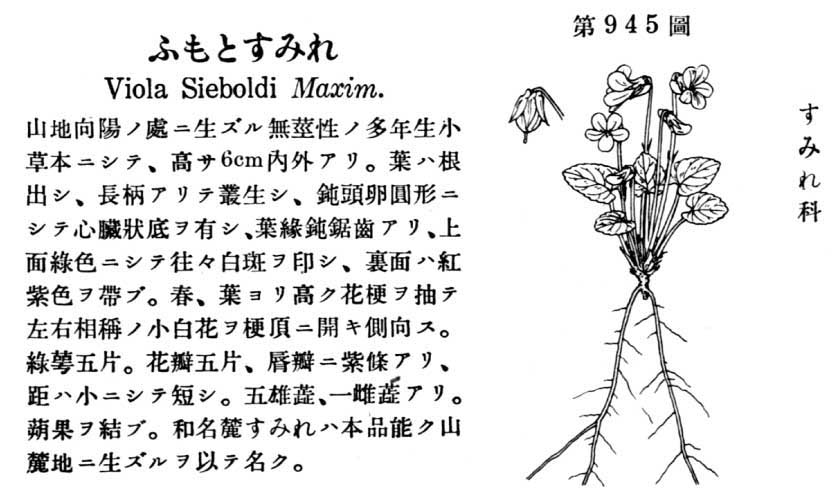植物図鑑