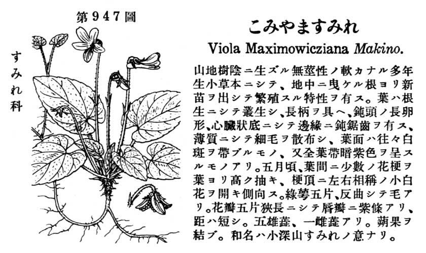 植物図鑑