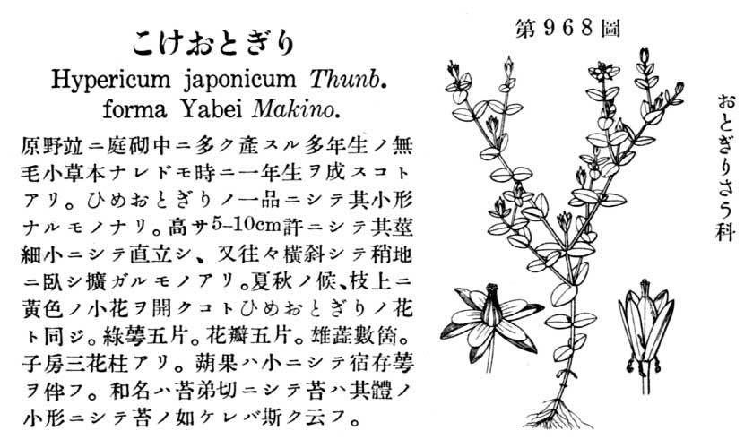 植物図鑑