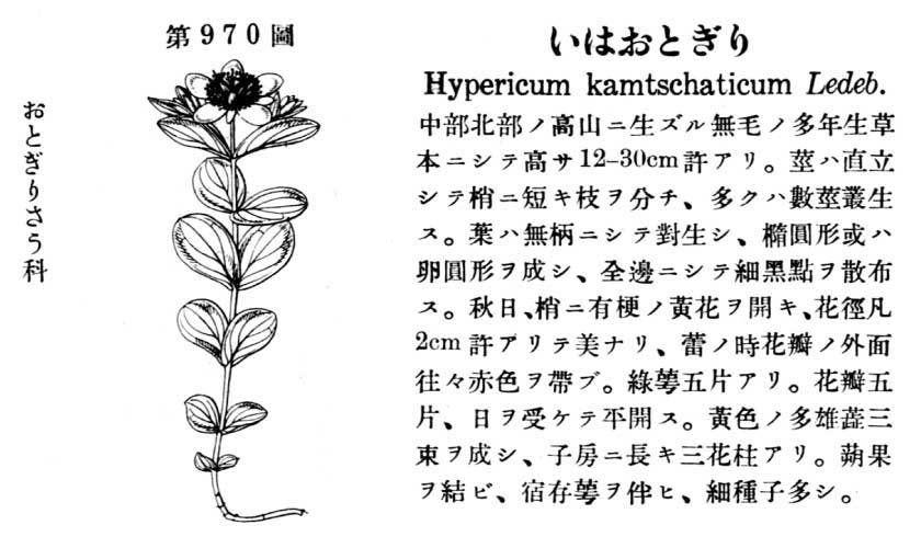 植物図鑑