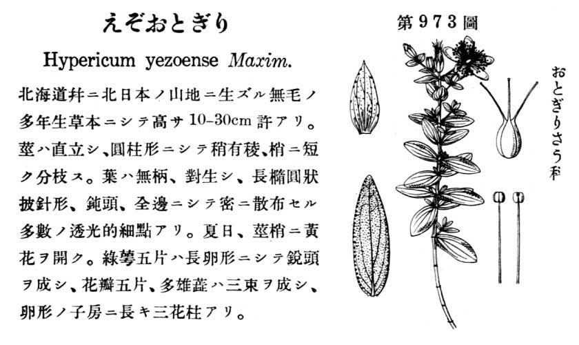 植物図鑑