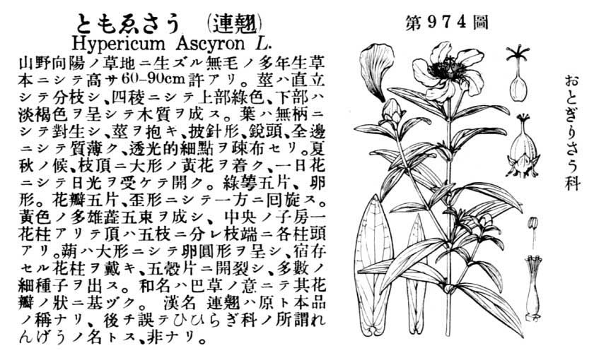 植物図鑑