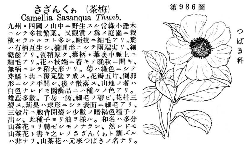 植物図鑑