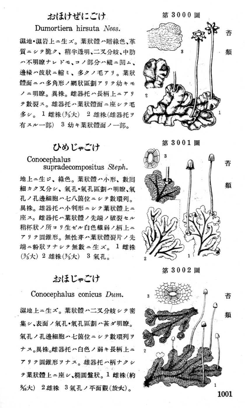 植物図鑑