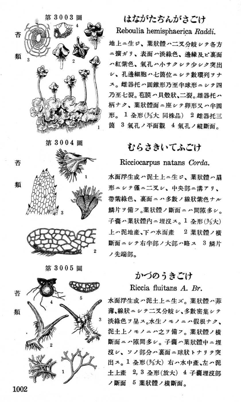 植物図鑑