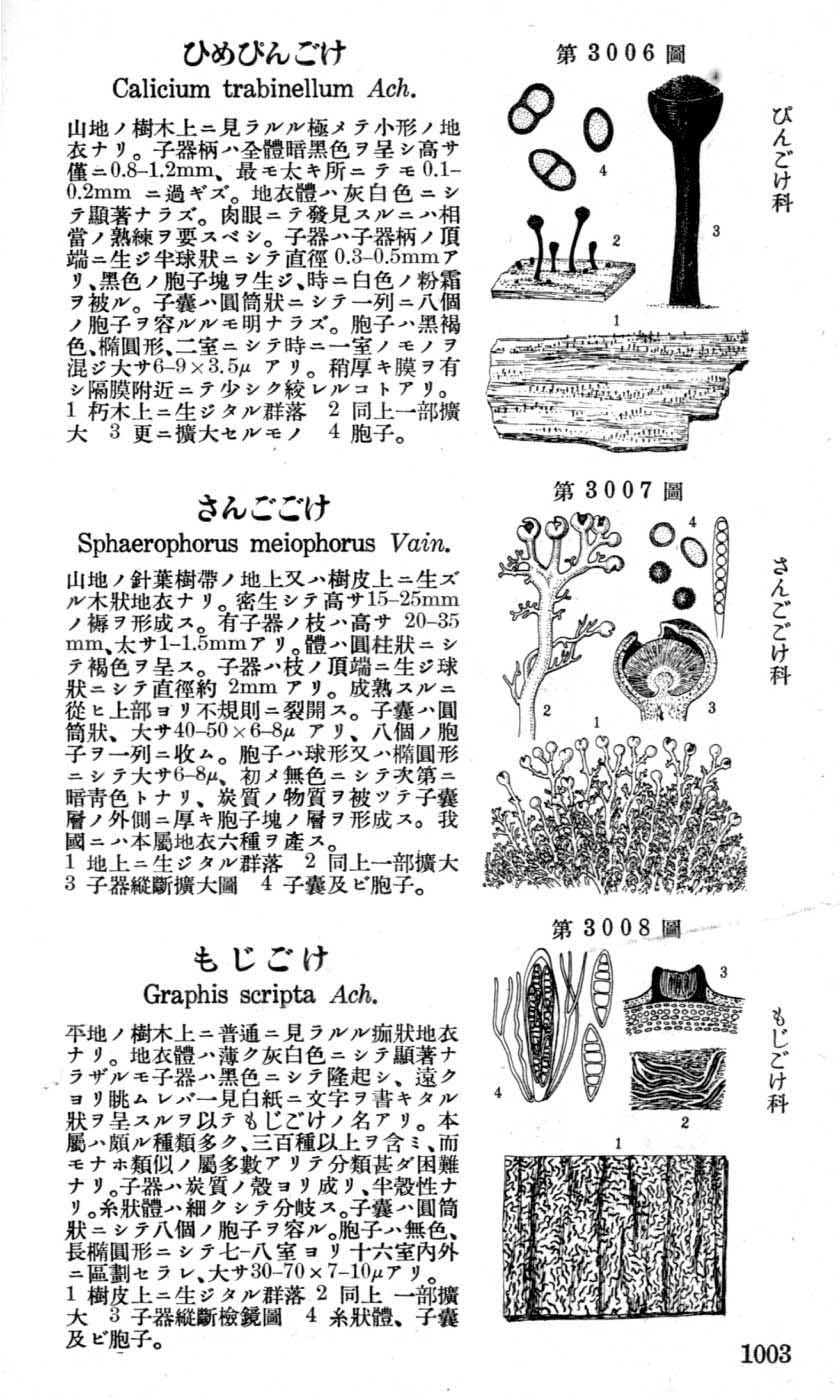植物図鑑