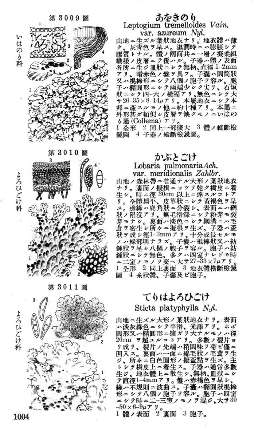 植物図鑑