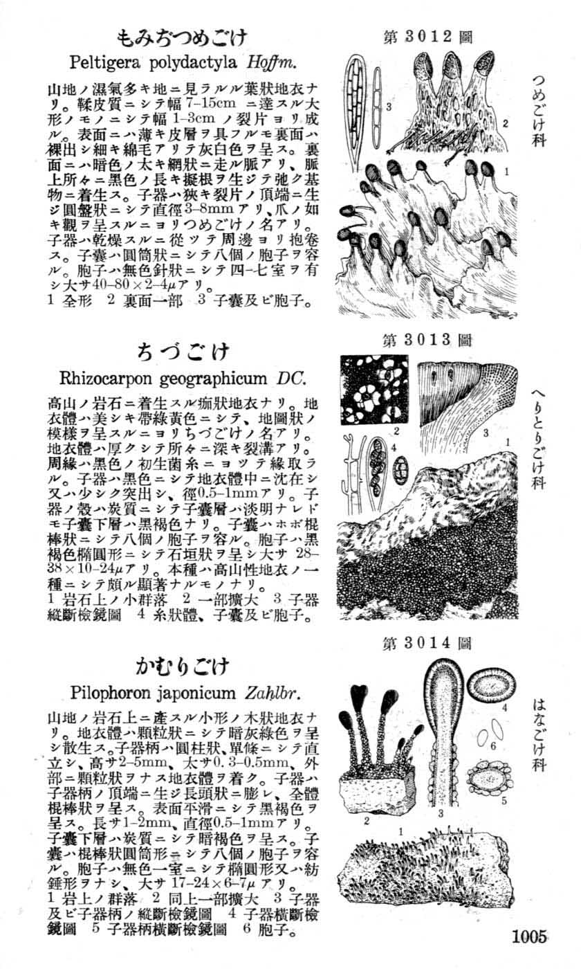 植物図鑑