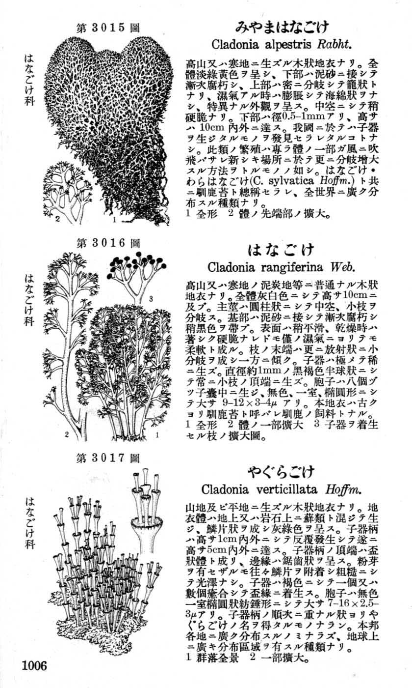 植物図鑑