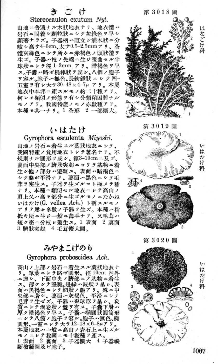 植物図鑑