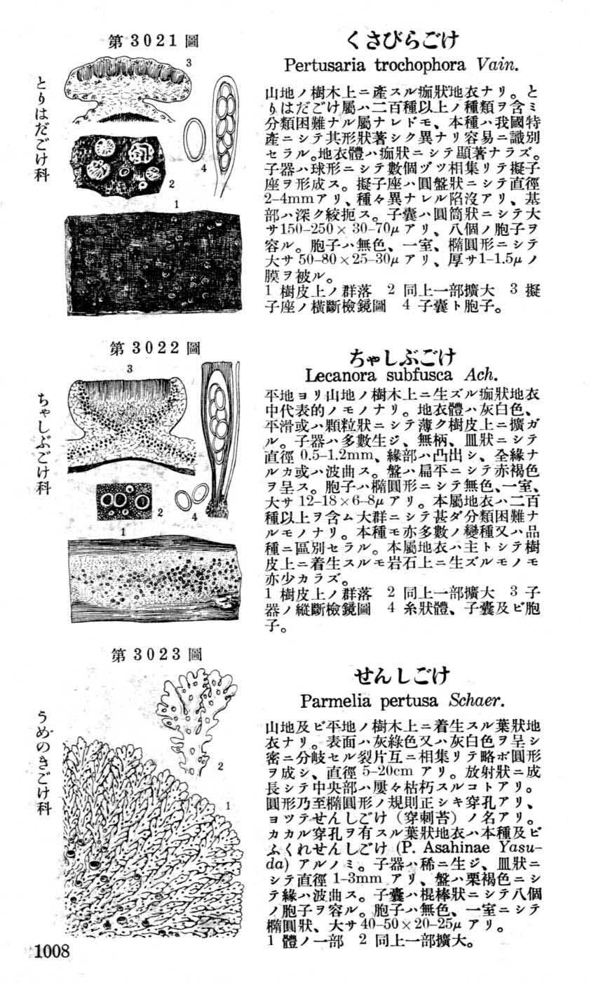 植物図鑑
