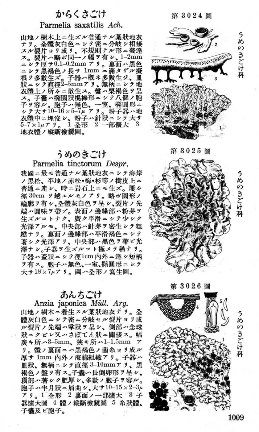 植物図鑑