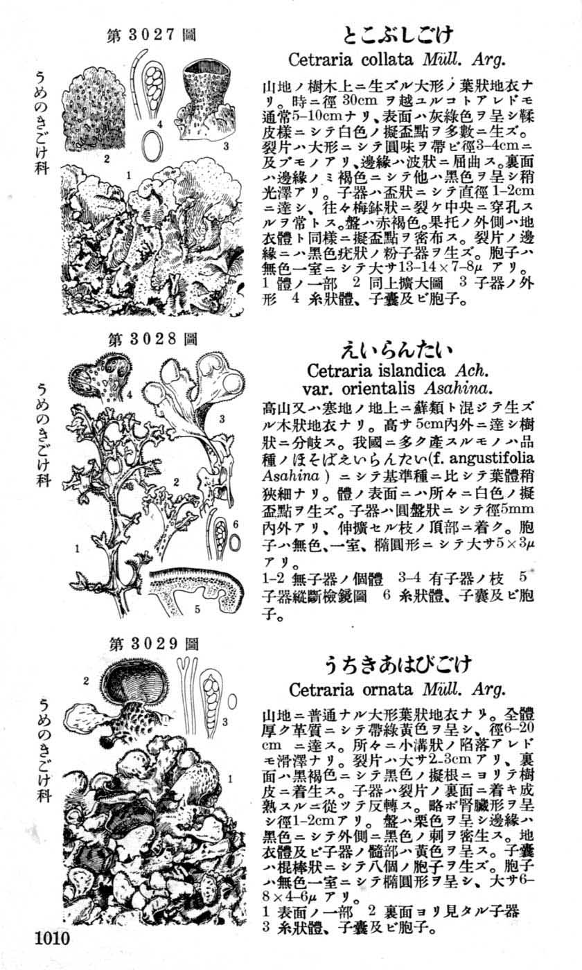 植物図鑑