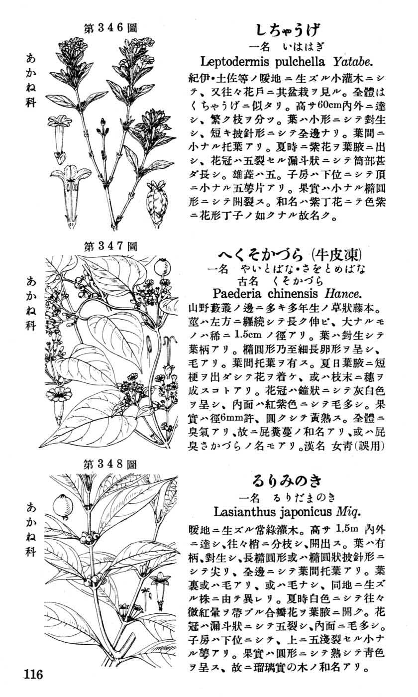 植物図鑑